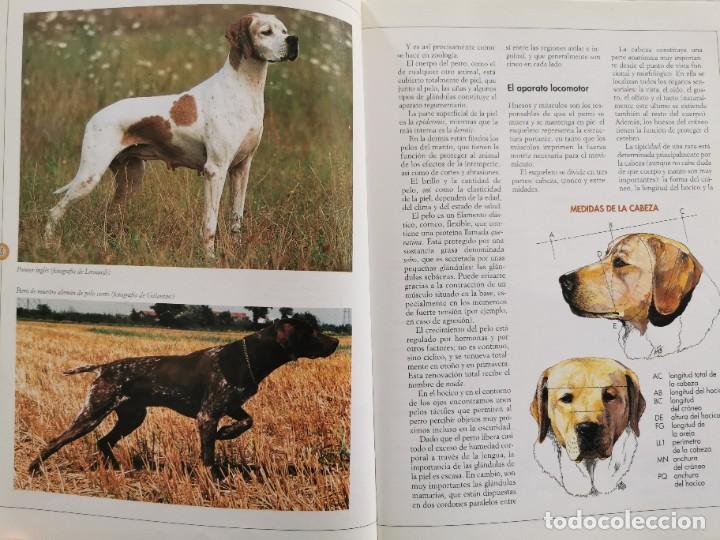 Libros: RAZAS CANINAS, GUIA VISUAL - Foto 4