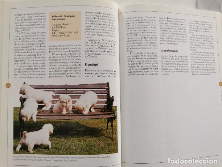 Libros: RAZAS CANINAS, GUIA VISUAL - Foto 5