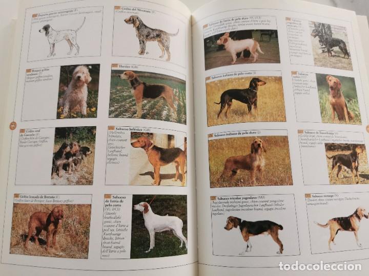 Libros: RAZAS CANINAS, GUIA VISUAL - Foto 6