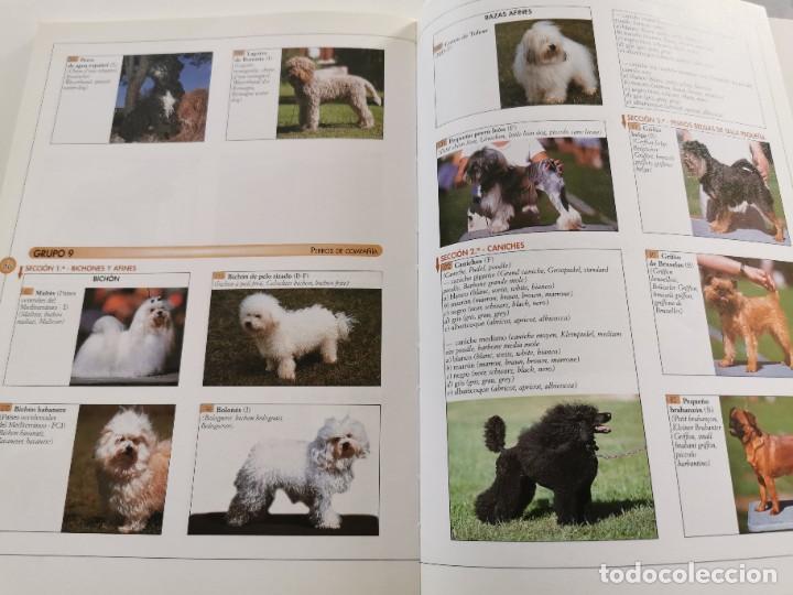 Libros: RAZAS CANINAS, GUIA VISUAL - Foto 7