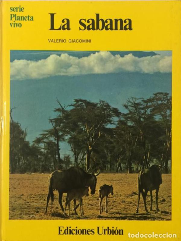 Libros: La sabana - Valerio Giacomini - Foto 1