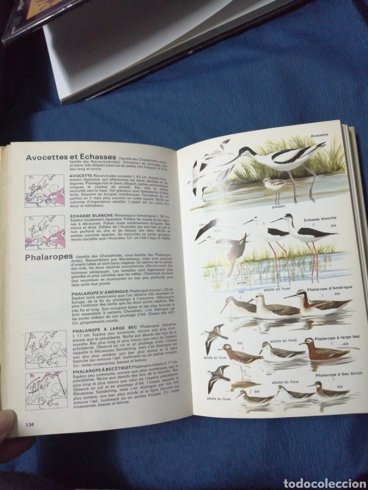 Libros: Un multiguide nature, Tous les oiseaux deurope (E3) - Foto 5