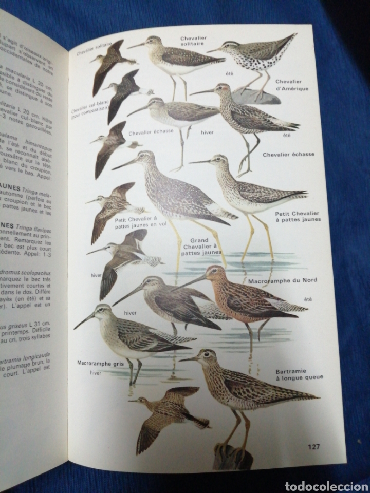 Libros: Un multiguide nature, Tous les oiseaux deurope (E3) - Foto 6