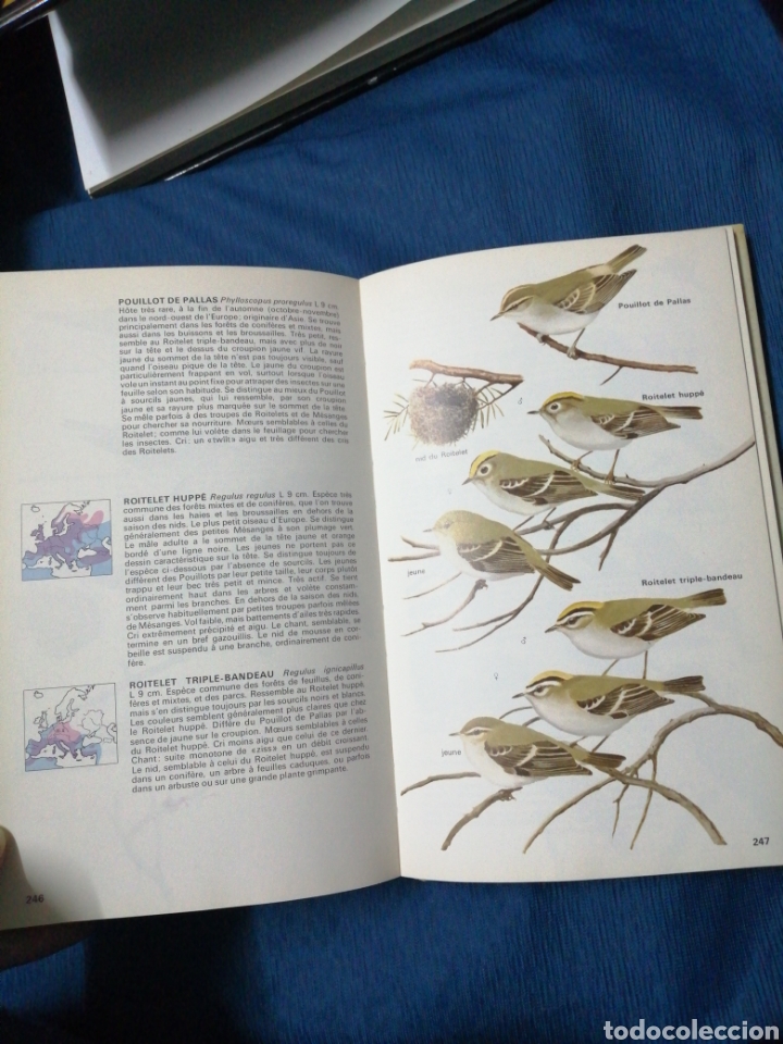 Libros: Un multiguide nature, Tous les oiseaux deurope (E3) - Foto 7