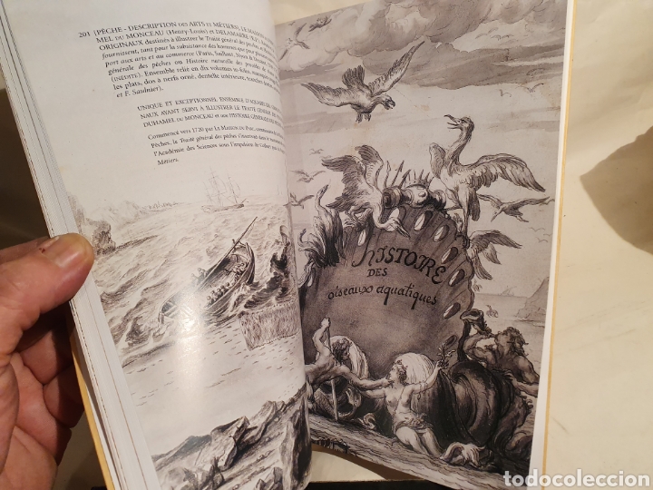 Libros: CLAUDE AGUTTES. CHASSE. HISTOIRE NATURELLE. 2001. - Foto 8