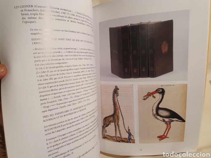 Libros: CLAUDE AGUTTES. CHASSE. HISTOIRE NATURELLE. 2001. - Foto 9