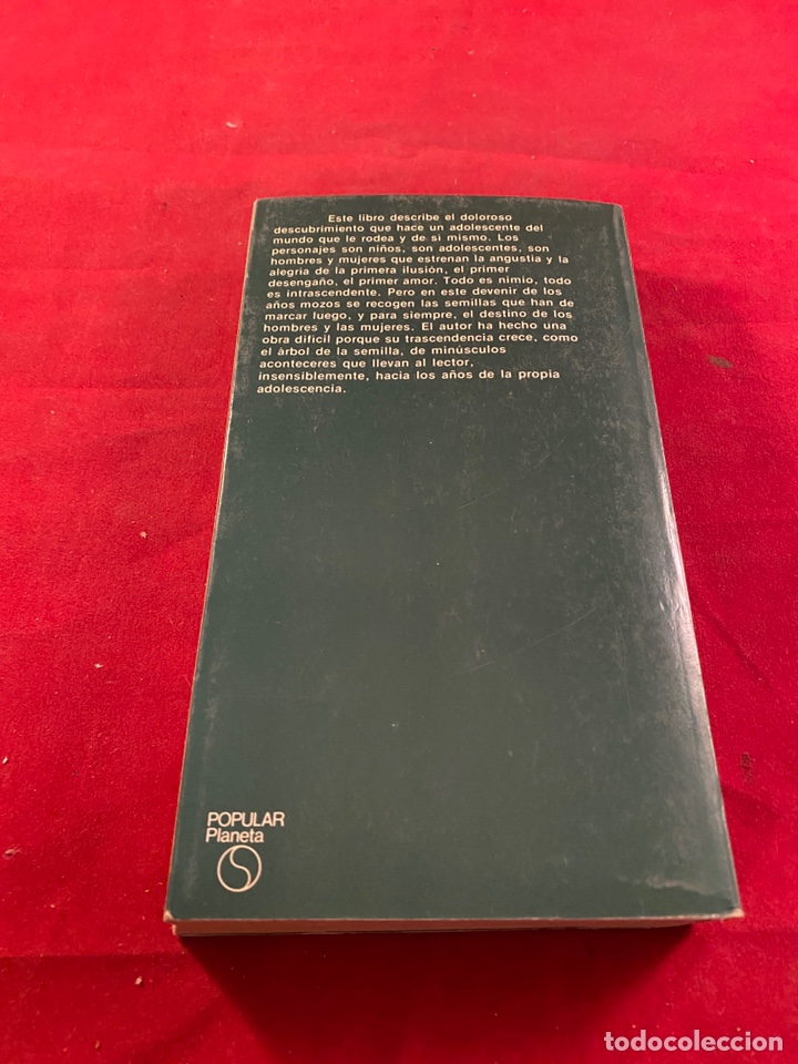 Libros: Edad prohibida - Foto 3