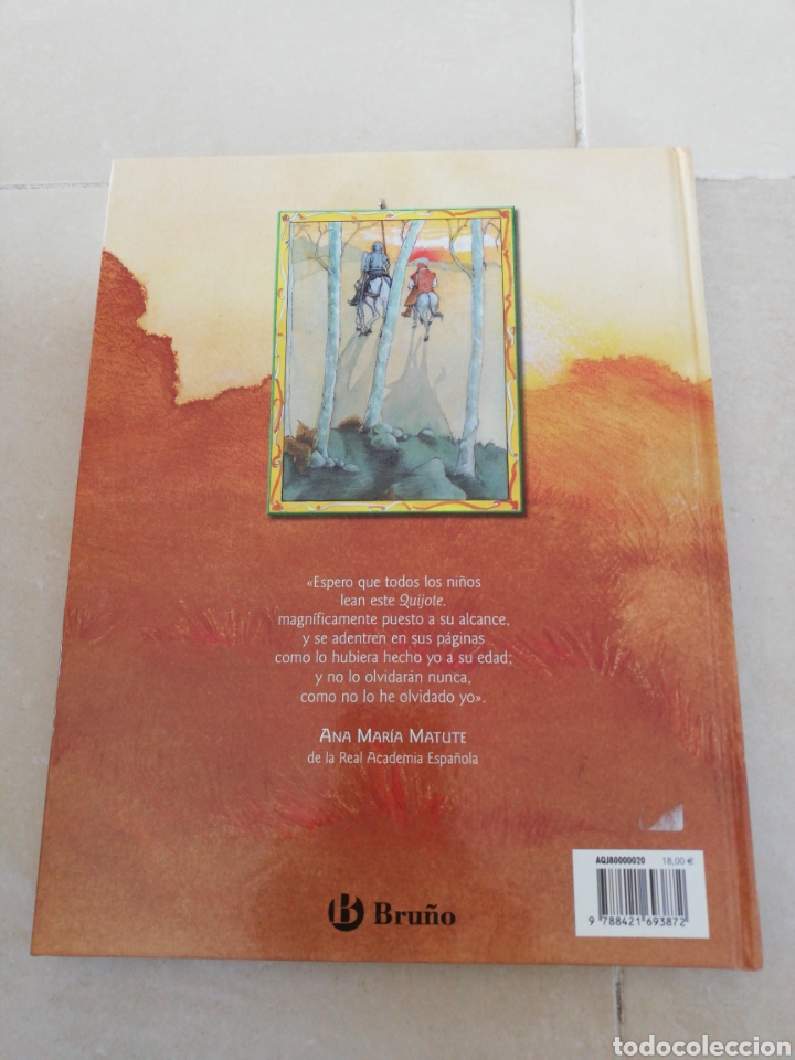 Libros: Aventuras de Don Quijote y Sancho, Editorial Bru&ntilde;o(E3) - Foto 2