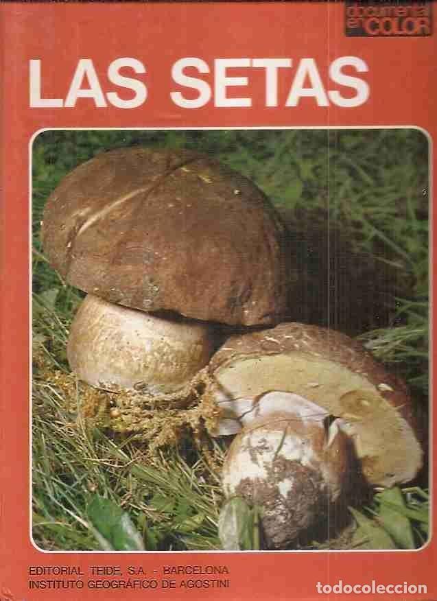 Libros: SETAS - LAS - TOSCO, UMBERTO - Foto 3