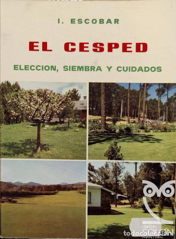 Libros: El c&eacute;sped - Inocencia Escobar - Foto 1