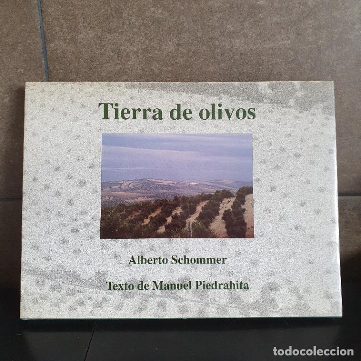 Libros: TIERRA DE OLIVOS, alberto schommer - Foto 1