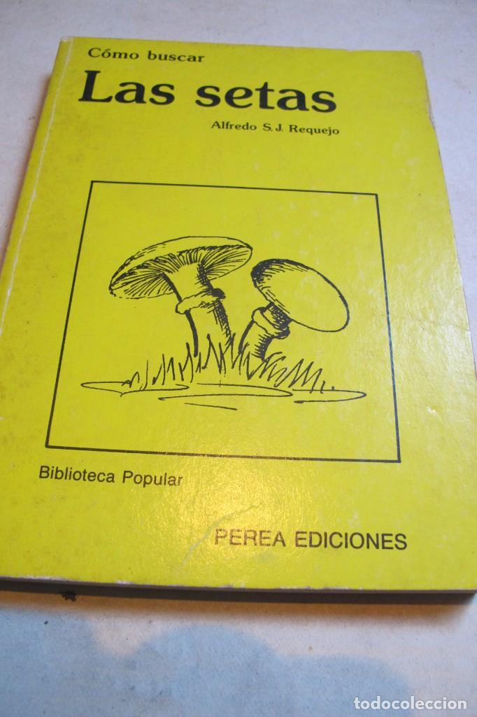 Libros: COMO BUSCAR LAS SETAS. ALFREDO S.J. REQUEJO - Foto 1