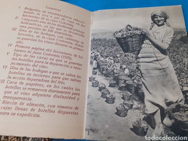 Libros: CODORNIU MUY ANTIGUO Y MODERNO - ORIOL, Hector. - Foto 3