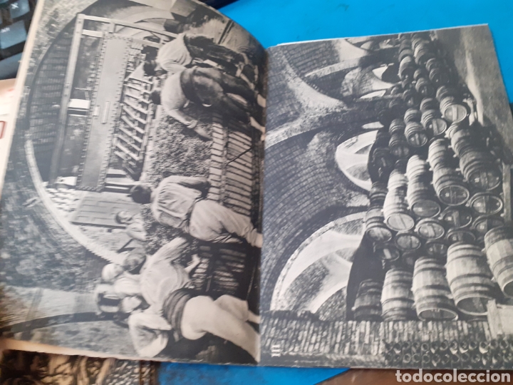 Libros: CODORNIU MUY ANTIGUO Y MODERNO - ORIOL, Hector. - Foto 4