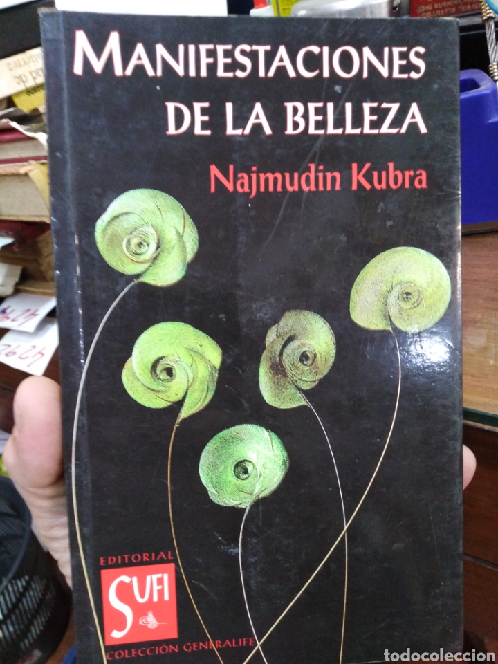 books: MANIFESTACIONES DE LA BELLEZA - KUBRA,Najmudin.
