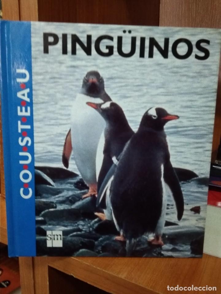Libros: Ping&uuml;inos, Cousteau, editorial SM 1991 - Foto 1