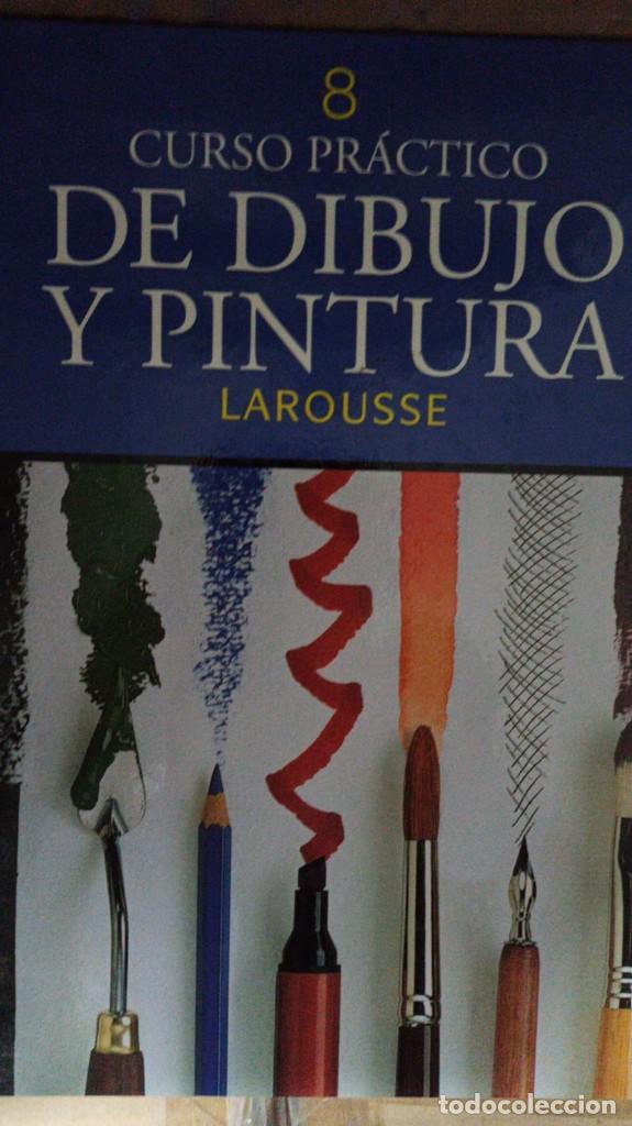 Libros: Curso Practico de Dibujo y Pintura 8 - An&oacute;nimo - Foto 1