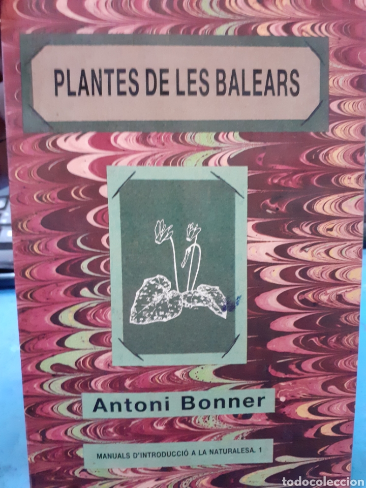 Libros: PLANTES DE LES BALEARS - BONNER, Antoni. - Foto 1