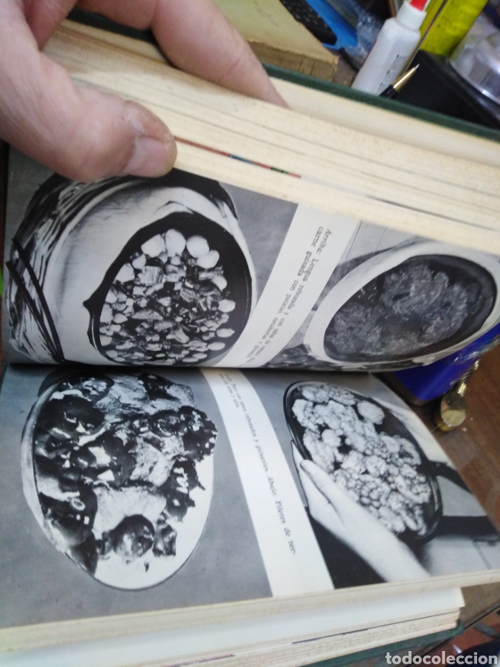 Libros: COCINA VASCA - BERNARD, G. - Foto 4