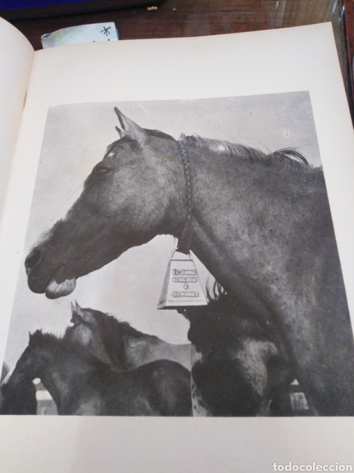 Libros: TRABAJANDO DE A CABALLO - DOWDALL, R. C. - Foto 5