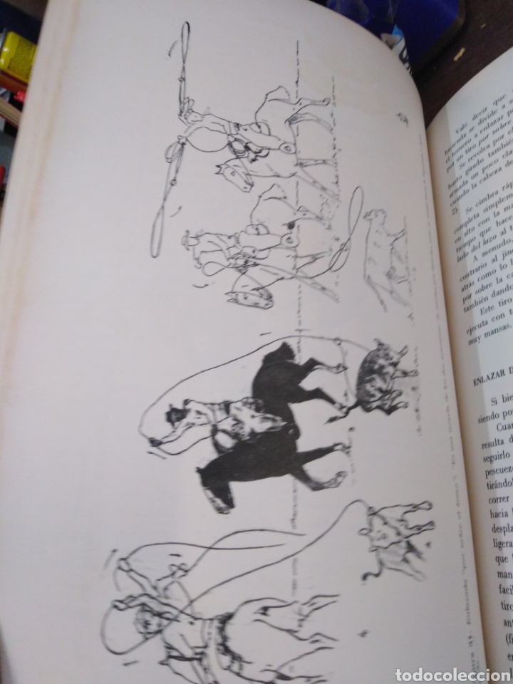 Libros: TRABAJANDO DE A CABALLO - DOWDALL, R. C. - Foto 10