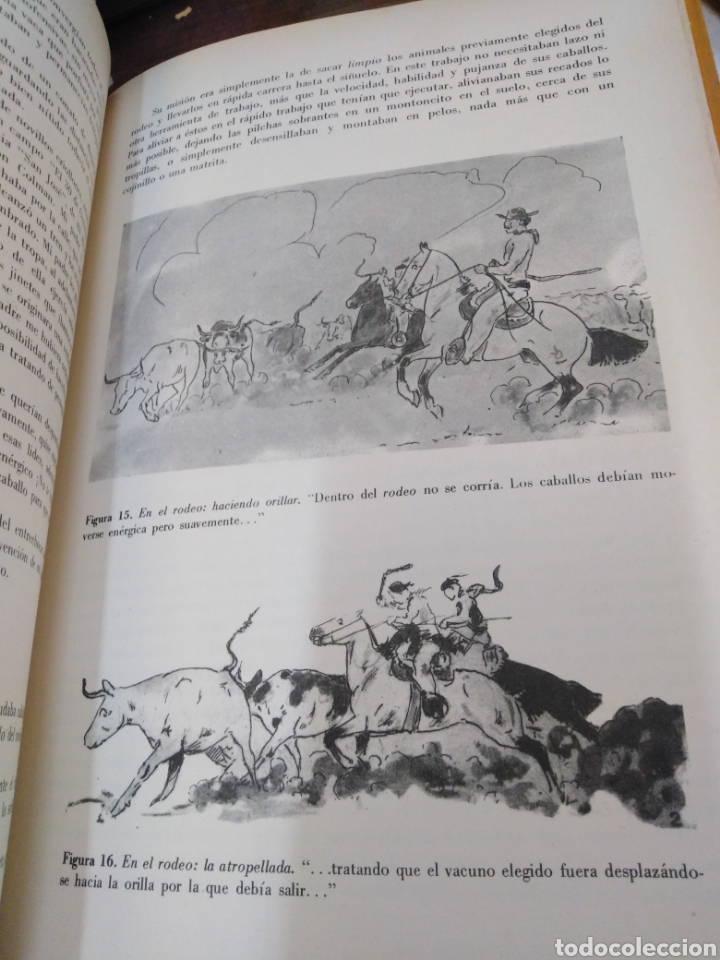 Libros: TRABAJANDO DE A CABALLO - DOWDALL, R. C. - Foto 12
