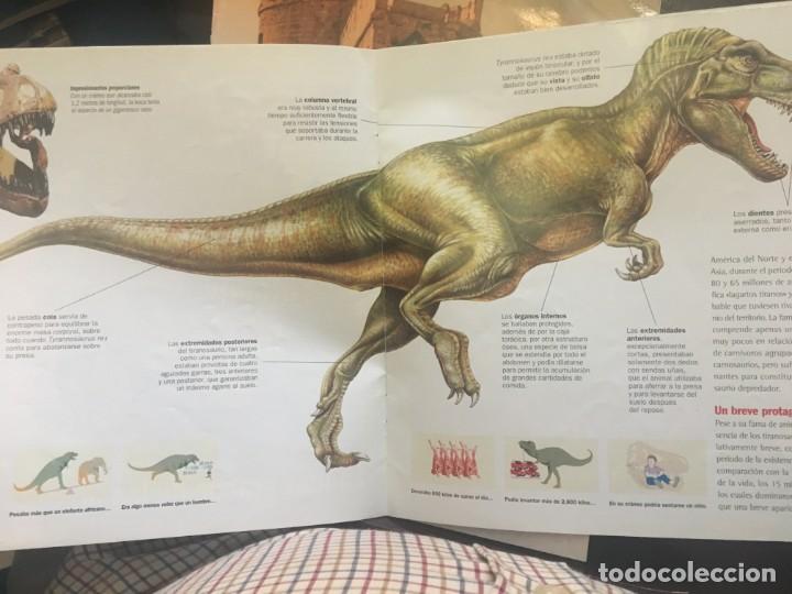 Libros: TRAS LAS HUELLAS DE LOS DINOSAURIOS. N&ordm; 1.Orbis Fabri. RBA - Foto 2