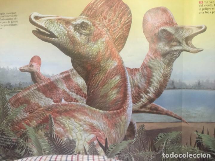 Libros: TRAS LAS HUELLAS DE LOS DINOSAURIOS. N&ordm; 1.Orbis Fabri. RBA - Foto 3