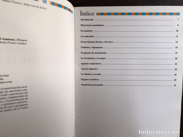 Libros: Gu&iacute;as ecuestres ilustradas. Anatom&iacute;a del caballo. Chris Colles - Foto 2