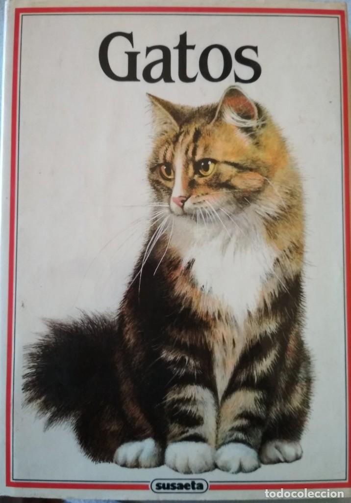 Libros: GATOS - Foto 1
