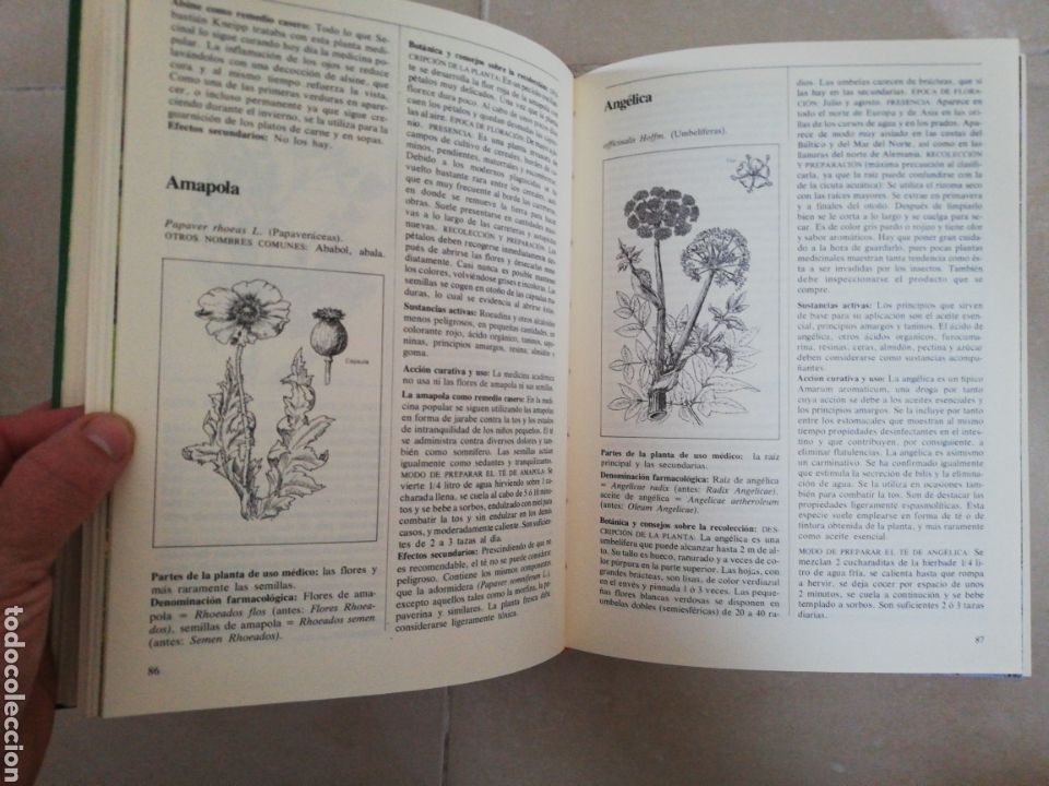 Libros: El gran libro de las plantas medicinales M. Paglow, editorial everest - Foto 6