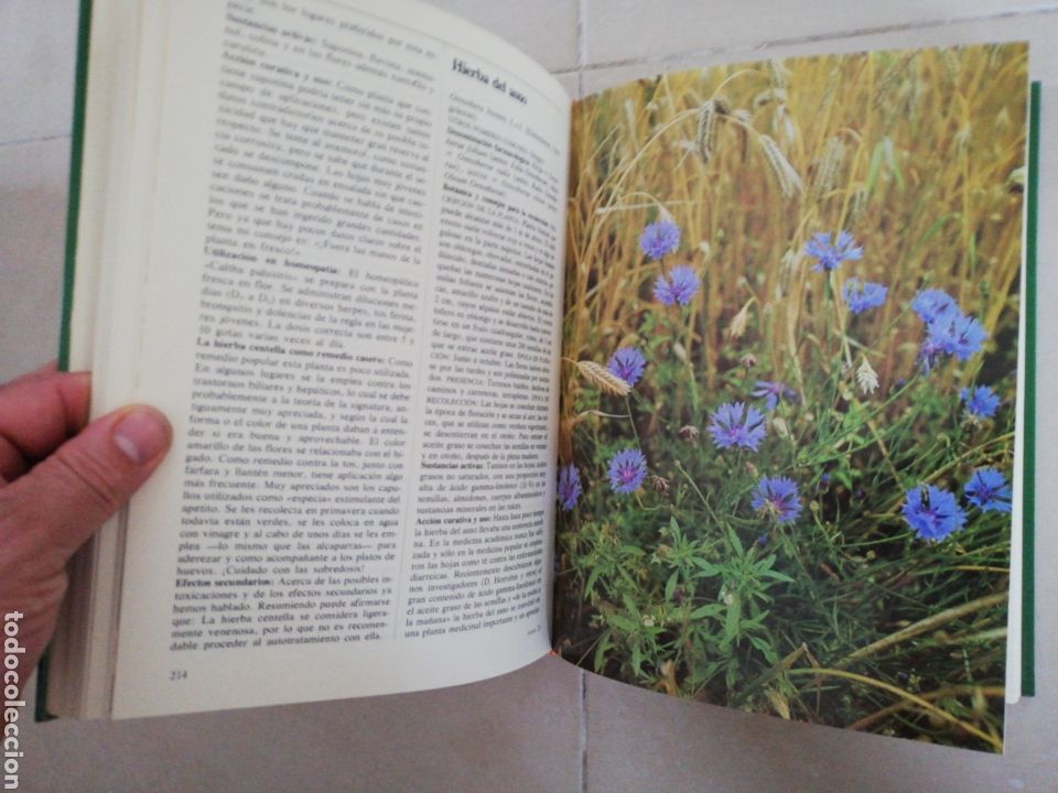 Libros: El gran libro de las plantas medicinales M. Paglow, editorial everest - Foto 7
