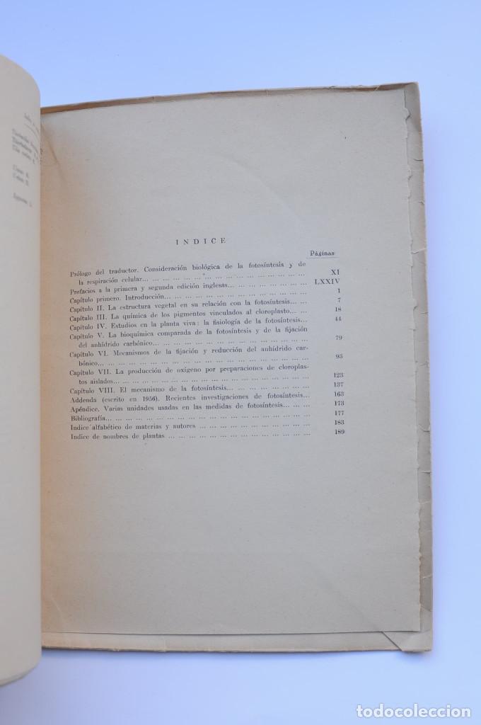 Libros: Fotos&iacute;ntesis - ASIMOV, Isaac - Foto 3