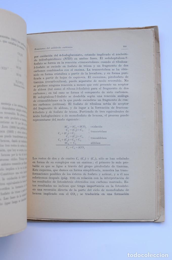 Libros: Fotos&iacute;ntesis - ASIMOV, Isaac - Foto 4