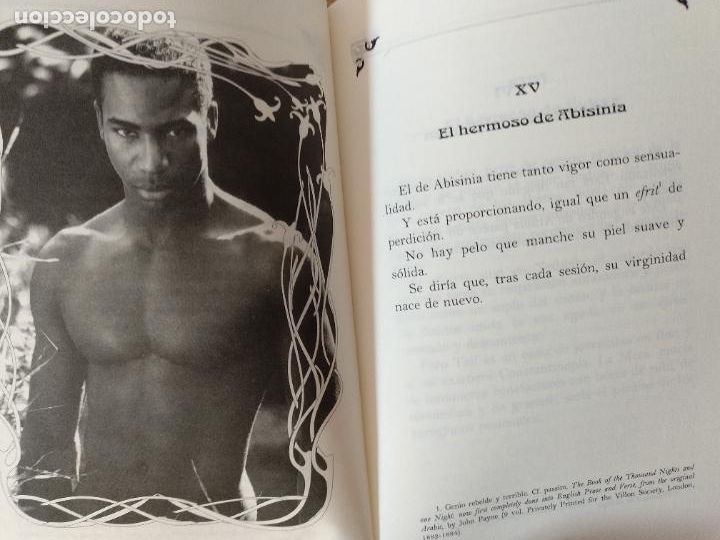 Libros: El libro de los hermosos. Edici&oacute;n de Luis Antonio de Villena. - Foto 3