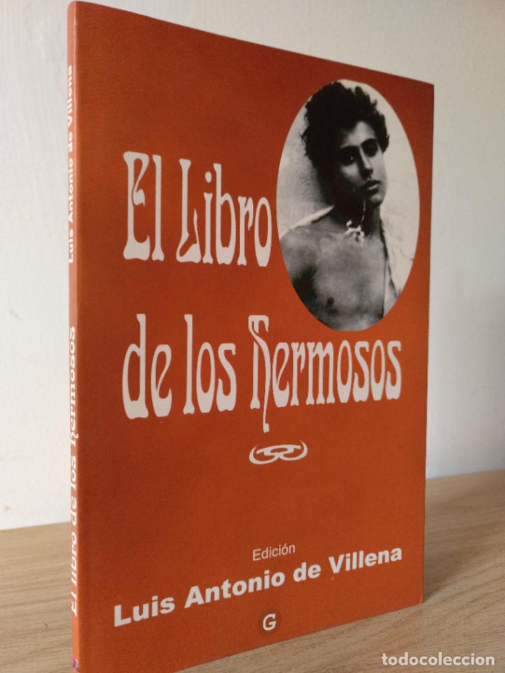 Libros: El libro de los hermosos. Edici&oacute;n de Luis Antonio de Villena. - Foto 1