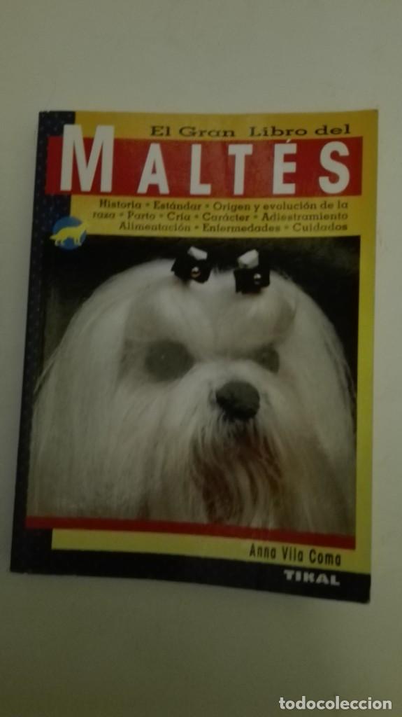 Libros: EL GRAN LIBRO DEL MALTES - Foto 1