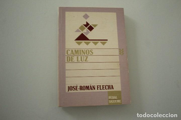 Libros: CAMINOS DE LUZ JOSE ROMAN FLECHA - Foto 1