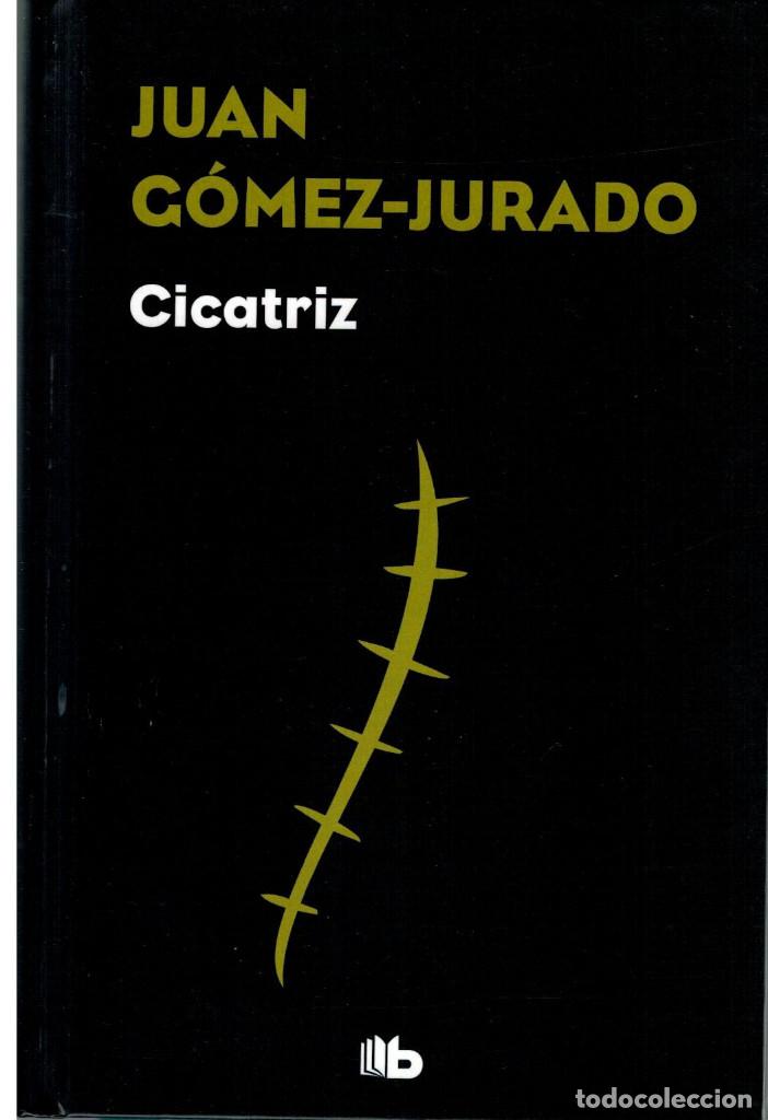 Libros: Cicatriz . G&oacute;mez-Jurado, Juan - Foto 1