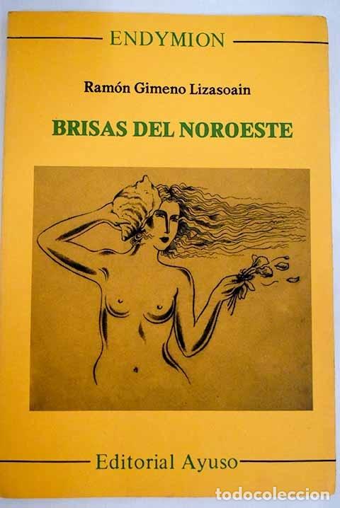 Libros: Brisas del noroeste.- Gimeno Lizasoain, Ram&oacute;n - Foto 1