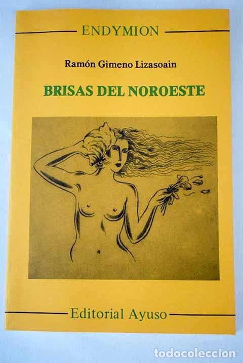 Libros: Brisas del noroeste.- Gimeno Lizasoain, Ram&oacute;n - Foto 1