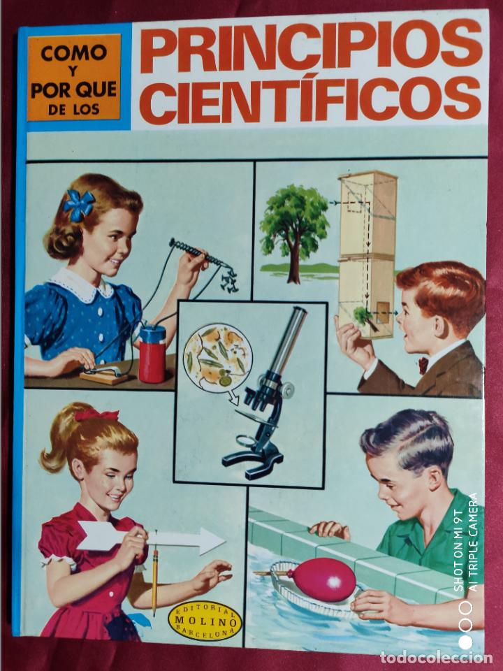 Libros: C&Oacute;MO Y POR QU&Eacute; DE LOS PRINCIPIOS CIENT&Iacute;FICOS. MOLINO. 1974 - Foto 1