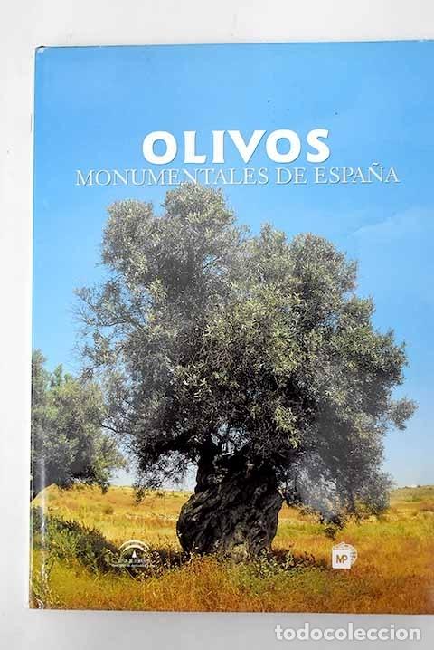 Libros: Olivos monumentales de Espa&ntilde;a - Foto 1