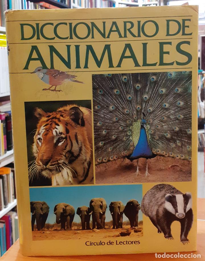 Libros: Diccionario de animales - CHINERY, MICHAEL - Foto 1