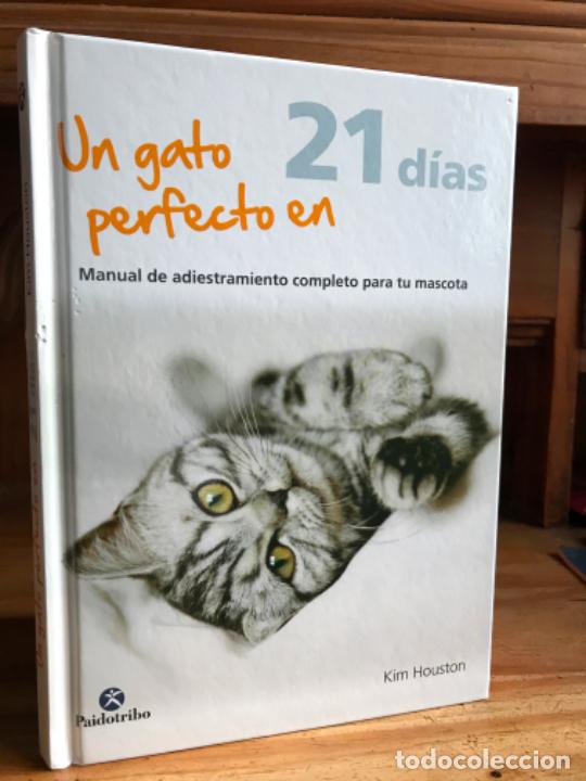 Livres: Un gato perfecto en 21 d&iacute;as. Manual de adiestramiento completo para tu mascota. Kim Houston