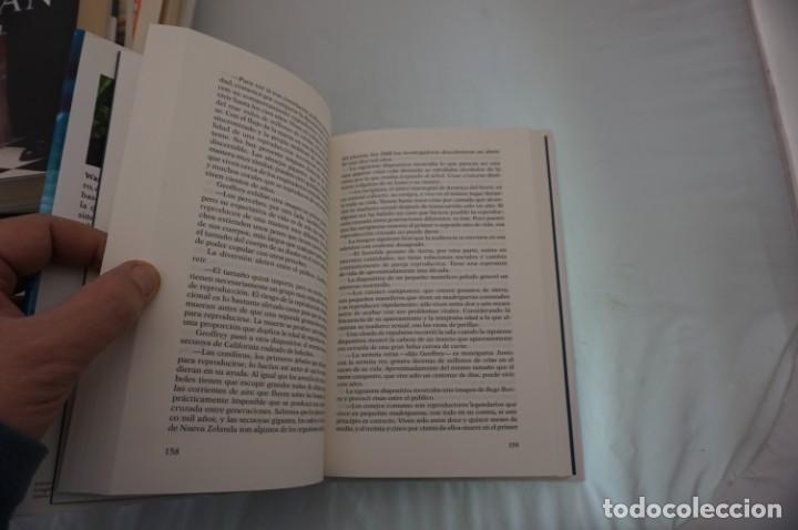 Libros: 20D - HENDERS - WARREN FAHY / PLANETA - Foto 4