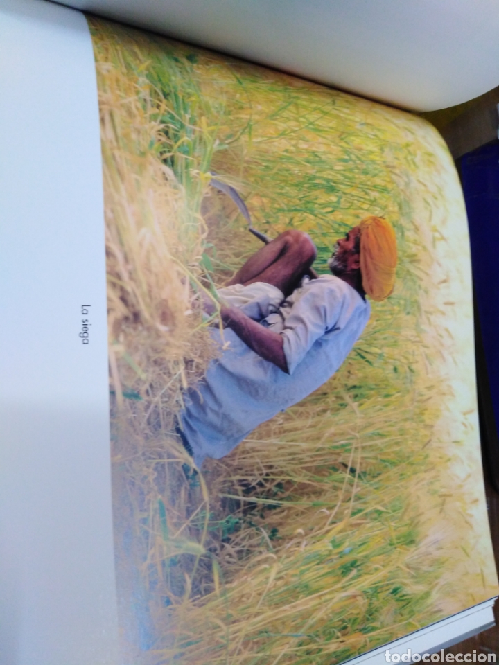 Libros: LA MIRADA Y LA VIDA - MEDRANO, Fernando - Foto 5