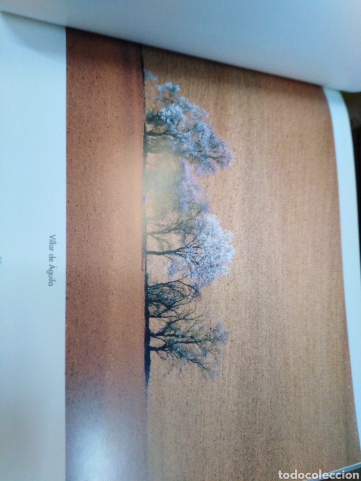 Libros: LA MIRADA Y LA VIDA - MEDRANO, Fernando - Foto 7