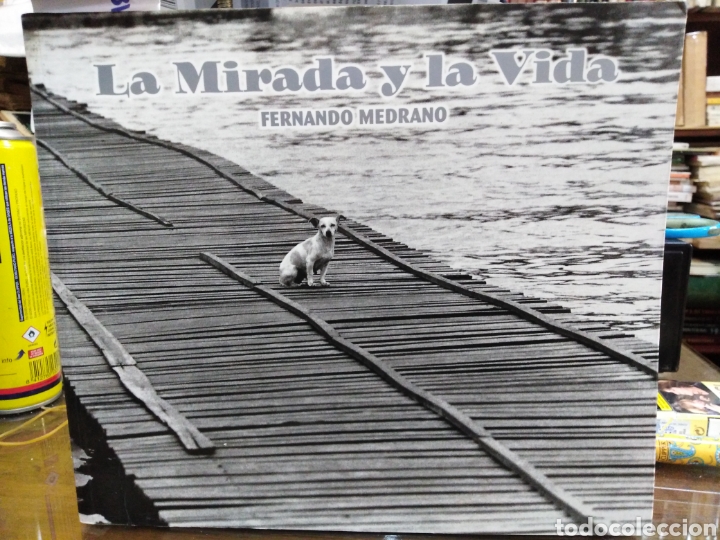 Libros: LA MIRADA Y LA VIDA - MEDRANO, Fernando - Foto 1