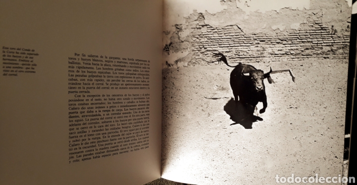 Libros: Libro Toros de Iberia. Robert Vavra - Foto 5